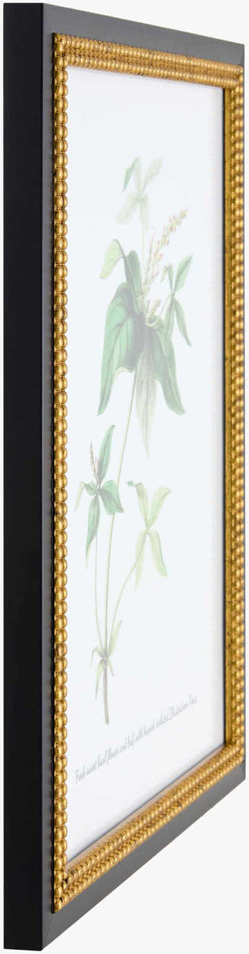 Soft Lime Green Rustic Framed Wall Art for modern gallery walls