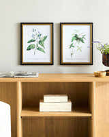 Soft Lime Green Rustic Framed Wall Art for modern gallery walls