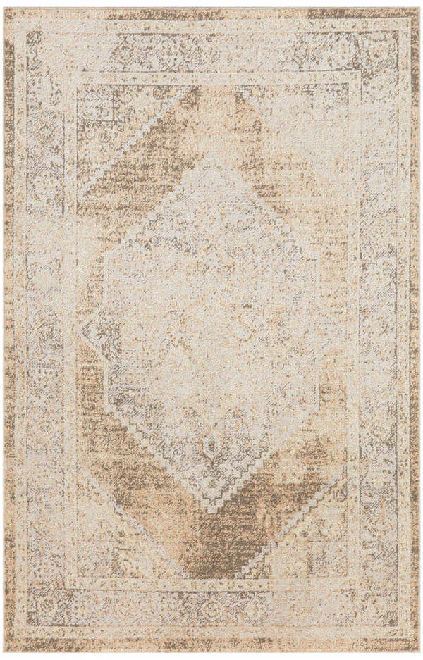 Close-up of Nourison Astra Beige Vintage Rug. Machine-made polyester rug with distressed diamond and border pattern.