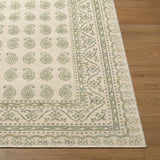 Alo Machine Woven  Nabela Noor Home x LIVABLISS NBAL-2302 Area Rug