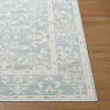Asha Machine Woven  Nabela Noor Home x LIVABLISS NBAS-2302 Area Rug