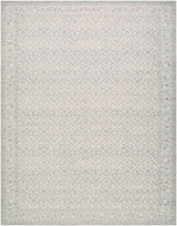 Maan Machine Woven  Nabela Noor Home x LIVABLISS NBMA-2302 Area Rug