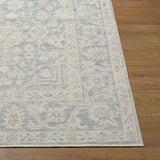 Maan Machine Woven  Nabela Noor Home x LIVABLISS NBMA-2304 Area Rug