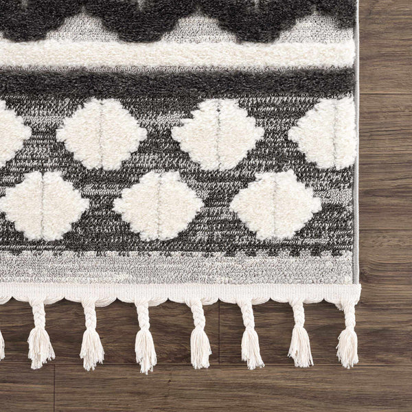 Sample Dinganen Area Rug