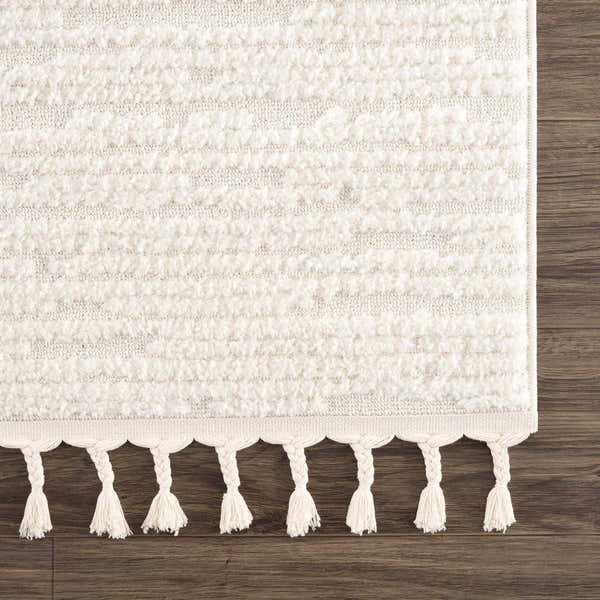 Sample Kulu Textured Area Rug with Tassels