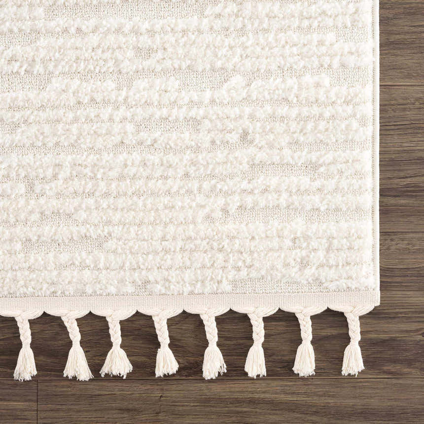 Sample Kulu Textured Area Rug with Tassels