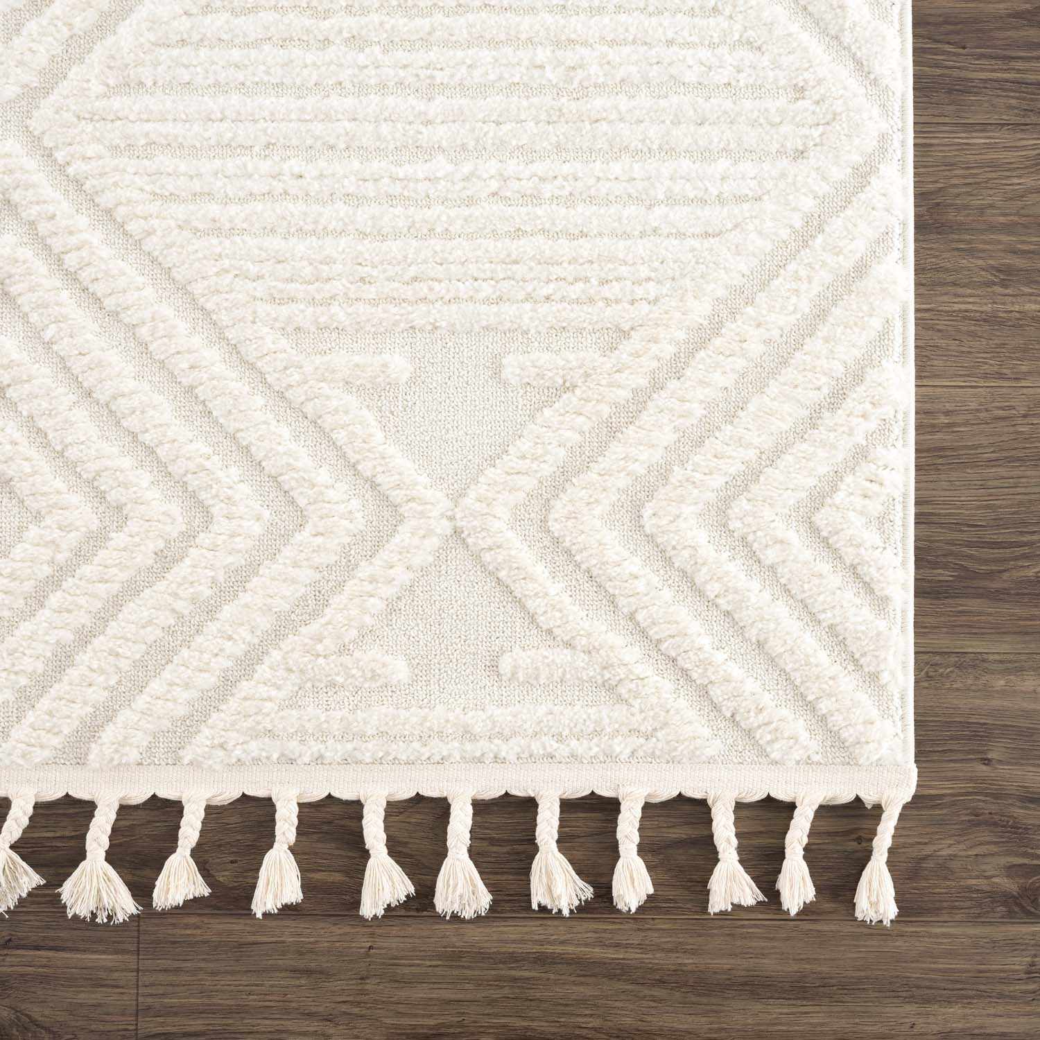 Sample Manyas 3D Bone Area Rug with Tassels - Clearance