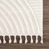 Sample Guiling 3D Rainbow Area Rug with Tassels