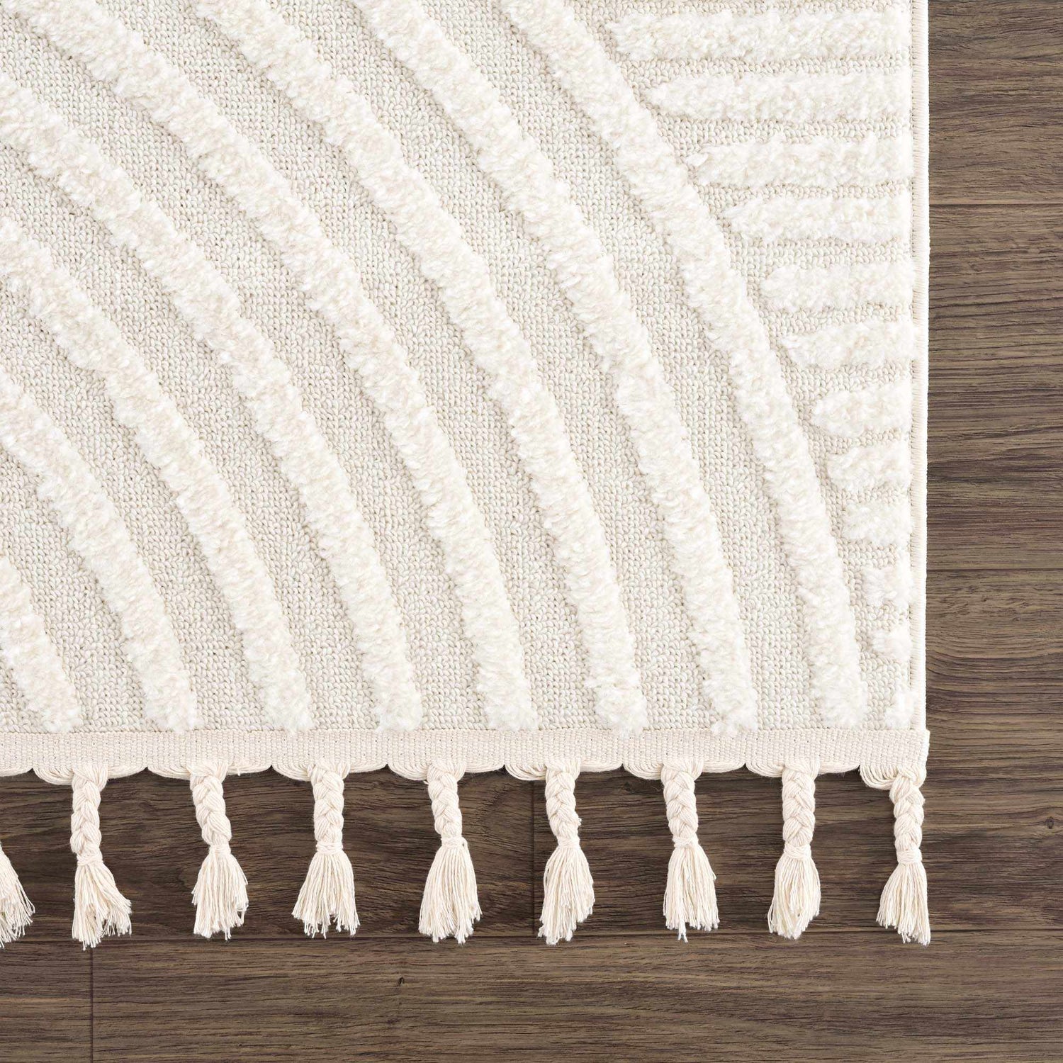 Sample Guiling 3D Rainbow Area Rug with Tassels