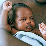 Organic Crib Fitted Sheet