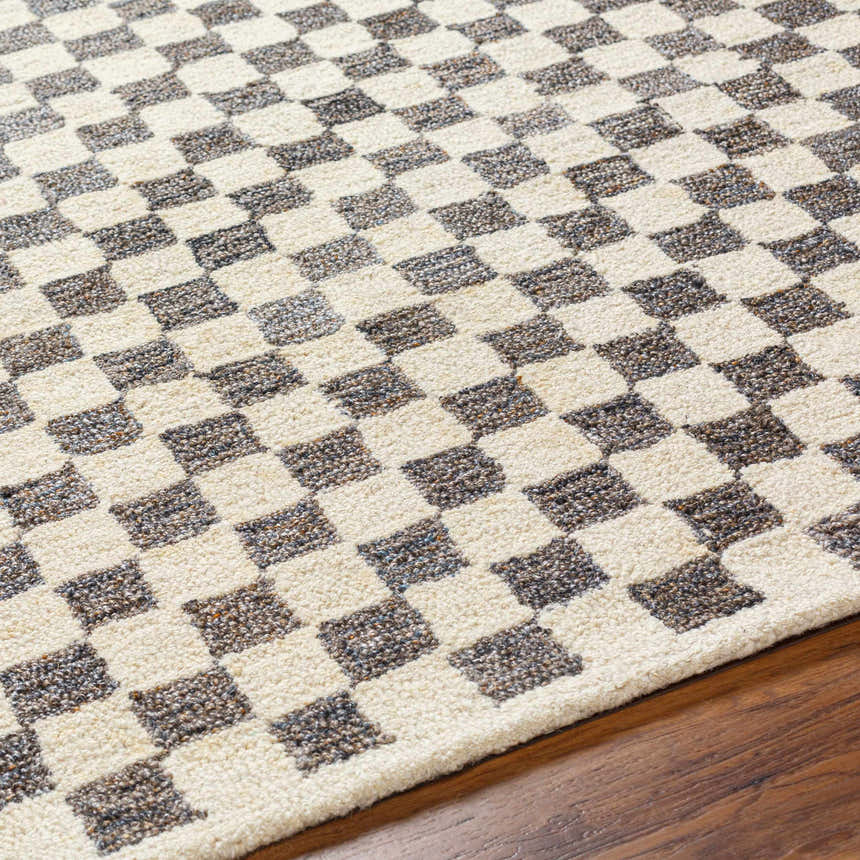 Close-up of the Halen Taupe Checkered Area Rug. Taupe and brown squares create a geometric pattern with a textured, hand-tufted feel. Texture