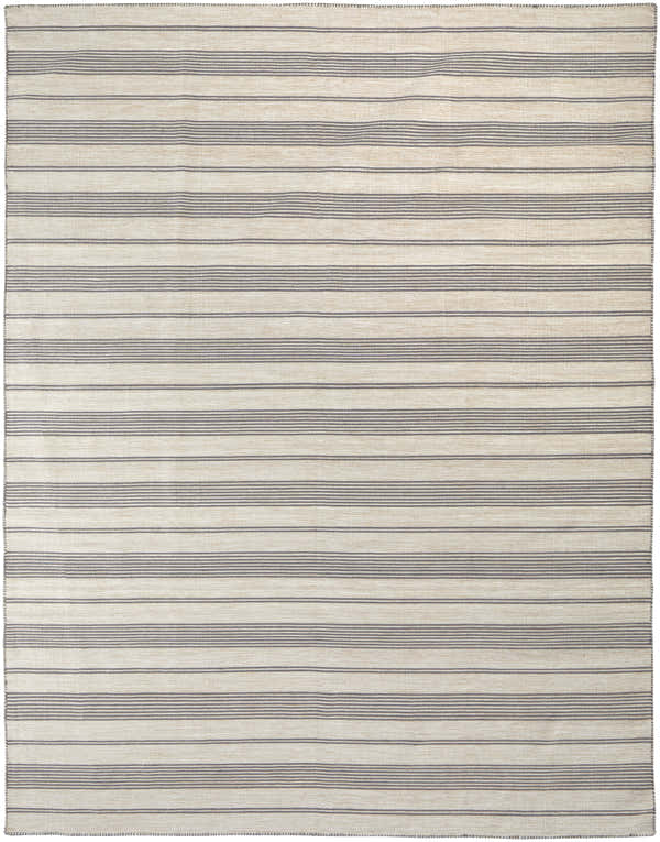 Close-up of Feizy Duprine Transitional Stripes Area Rug. Gray stripes on woven ivory background. Design-Rectangle
