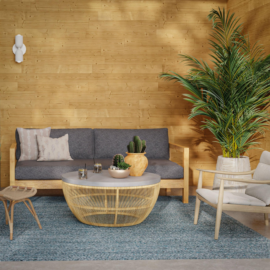 Rizzy PAV672 Area Rug