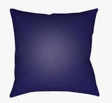 Witbank Outdoor Throw Pillow
