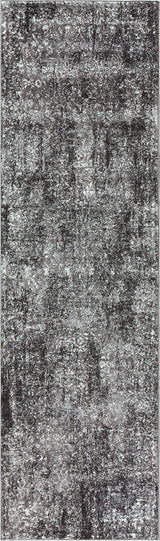Rizzy PN6971 Area Rug