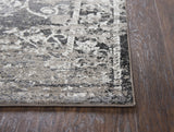 Rizzy PN6981 Area Rug