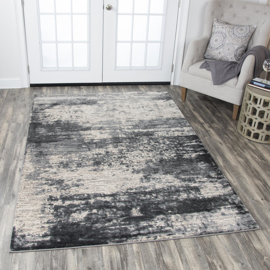 Rizzy PN6990 Area Rug