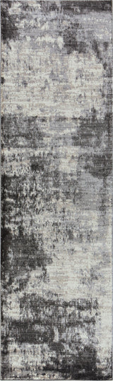 Rizzy PN6990 Area Rug