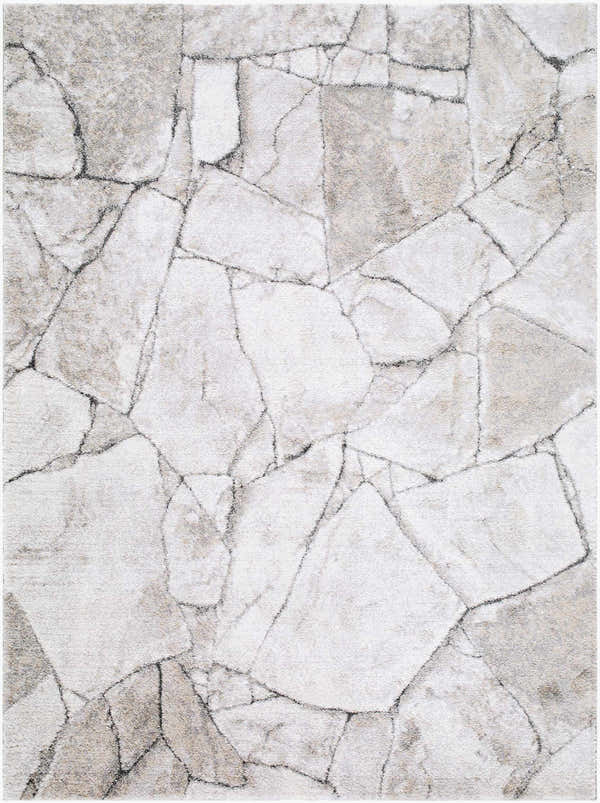 Sample Darena Abstract Area Rug