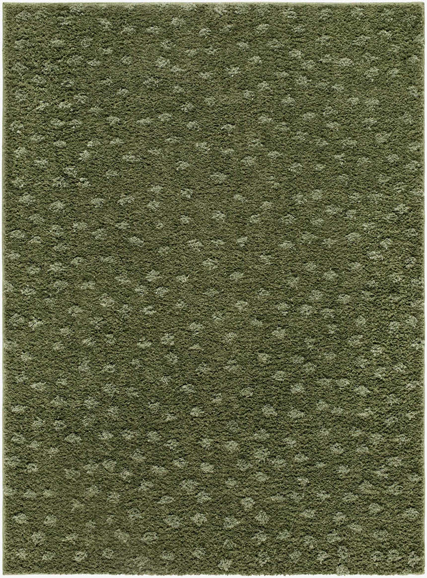 Sample Cansu Area Rug