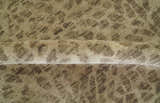 Ready to Ship 4x7 Camel and Taupe Modern leopard Design Hand knotted wool area rug