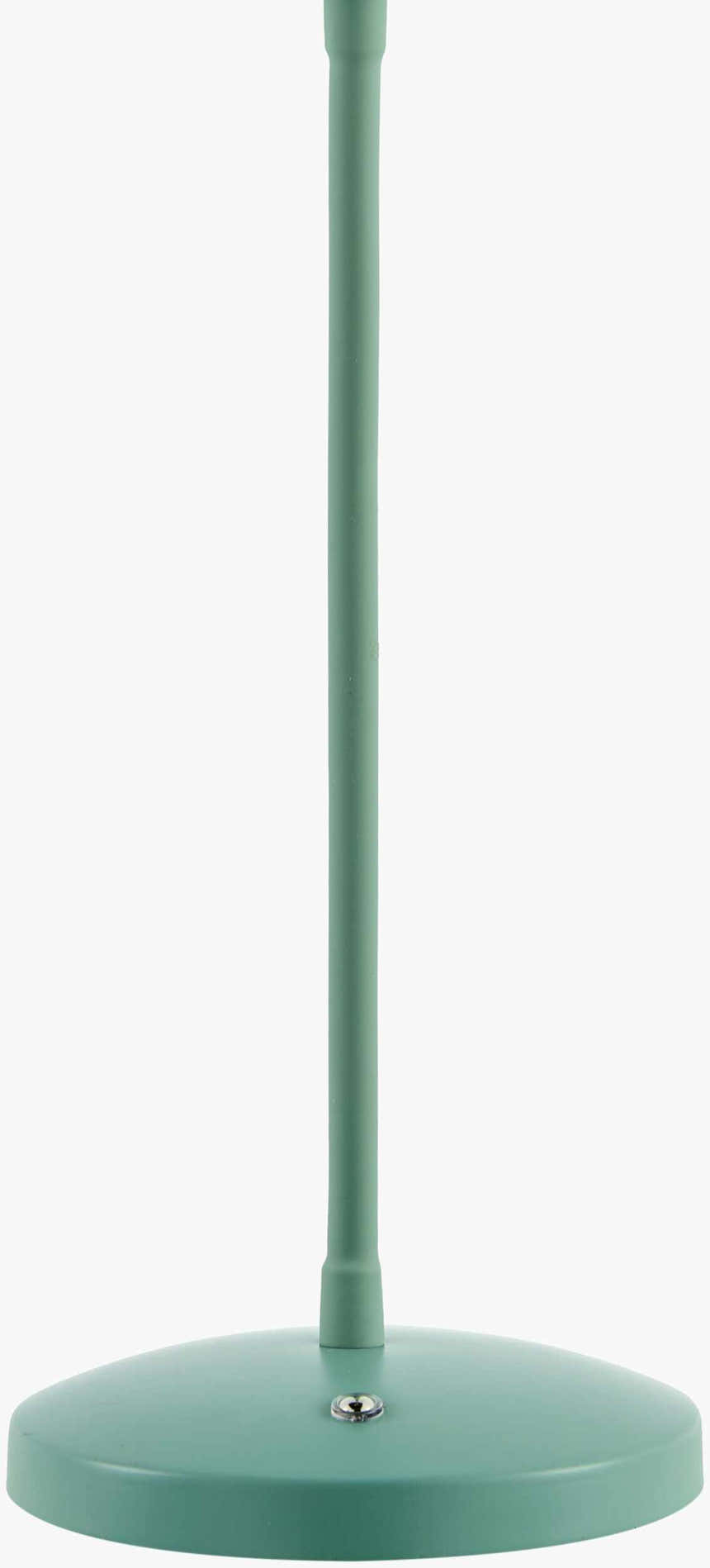 Pachiquita Sage Table Lamp