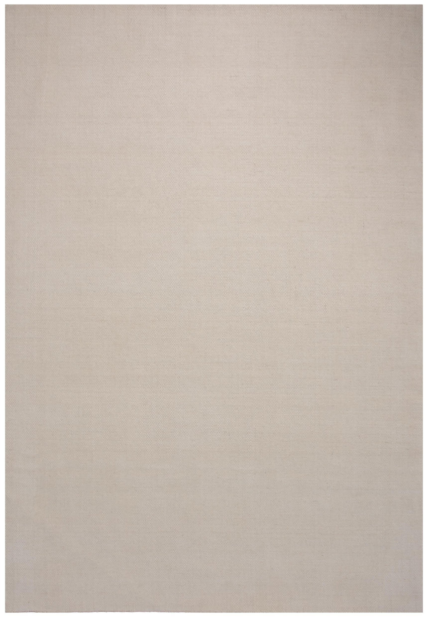 Rizzy RMI678 Area Rug