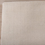 Rizzy RMI678 Area Rug