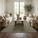 Living room scene with two sofas and a Leanna Green Washable Area Rug in gray green, over dark wood floors. Roomscene-Rectangle