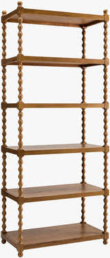 Orange Traditional Bookcase for books and decorative storage