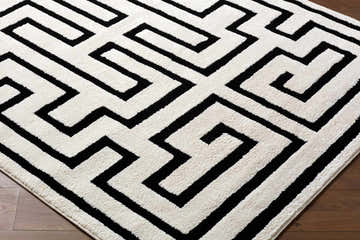 The Studio Edit Machine Woven  Rachel Zoe x LIVABLISS RZSE-2310 Area Rug