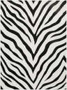 Design-Rectangle-537