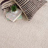 Close-up of the Velora Light Beige rug showing its shag texture, with books, plant, and pillows on the rug. Pile