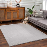 Heavenly Solid Light Gray Plush Rug - Clearance