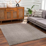 Heavenly Solid Gray Plush Area Rug