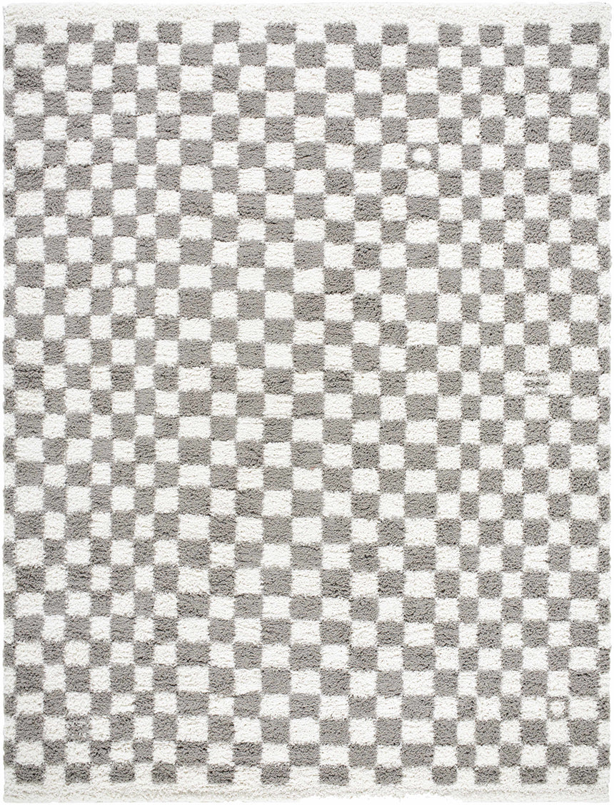 Kieu Taupe Checkered Plush Rug
