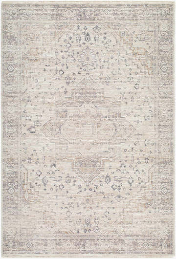 Close-up of the Dalila Area Rug. Beige, charcoal, cream, gray, and tan traditional rug with a farmhouse design. Design-Rectangle-575