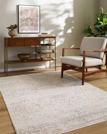 Living room scene with a beige Dalila Area Rug, wood console table, and neutral armchair. Roomscene-Rectangle