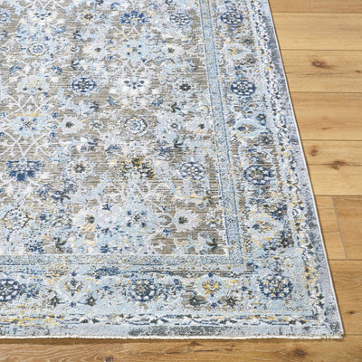 Finn Blue & Brown Area Rug