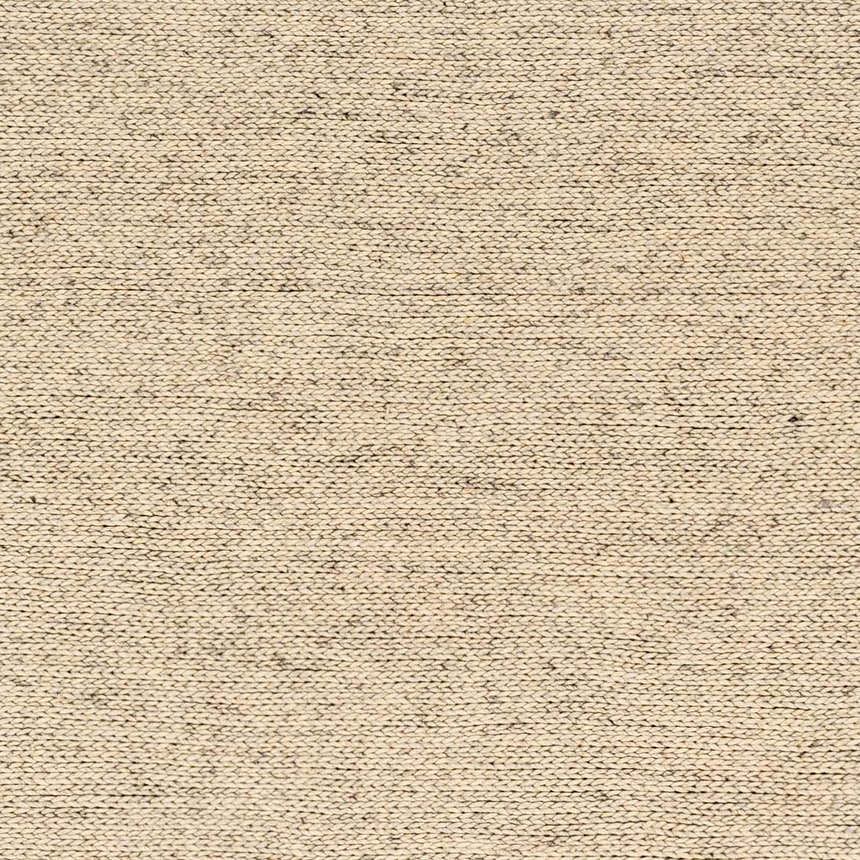 Close-up of the hand-woven Alyra Beige Solid Area Rug showing its texture and subtle color variations. Texture