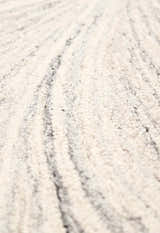Snow Bloom Beige Hand Tufted 5x7 Wool Area Rug