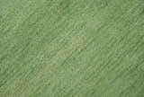 Custom Made solid Green Woolen Hand Tufted contemporary area Rug