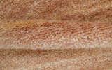 Solid Rust Hand knotted Contemporary Custom Made wool Area Rug