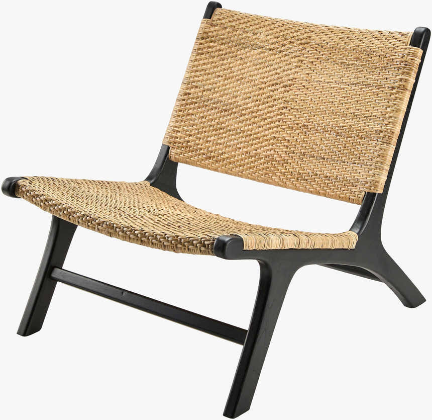 Ulhasnagar Black Accent Chair - Clearance