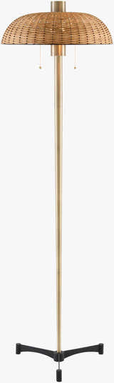 Brasson Antique Brass Classic Traditional Iron Accent Floor Lamp