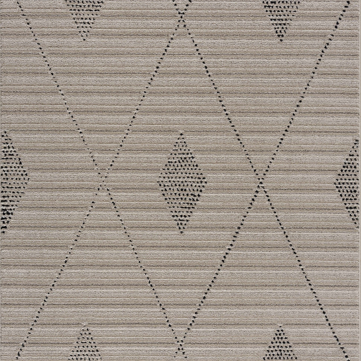 Lexi Area Rug - Clearance – Boutique Rugs