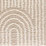 Sample Emmly Shag Area Rug