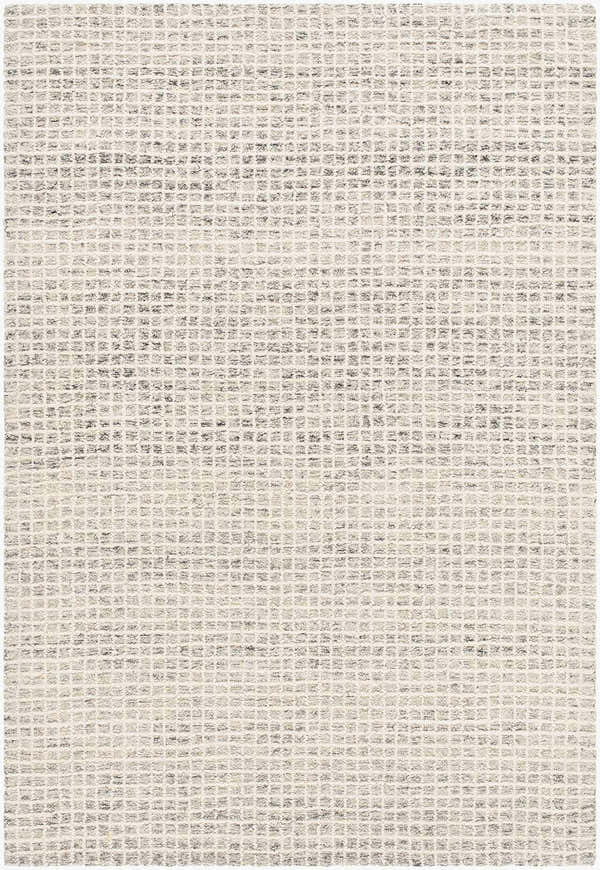 Sample Anahid Beige Area Rug