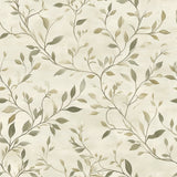 Whispering Vines Trail