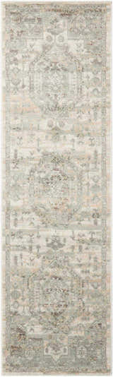 Close-up of Nourison Euphoria Ivory Persian Indoor Area Rug. Chestnut, ivory, and gray tones with a distressed traditional pattern.